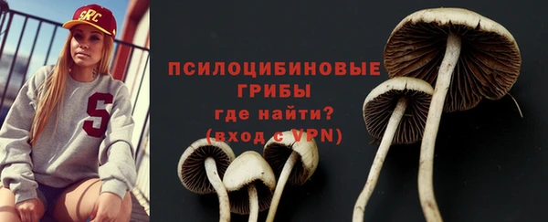 гидра Заволжск