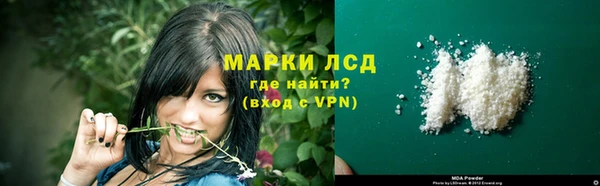 стаф Заводоуковск