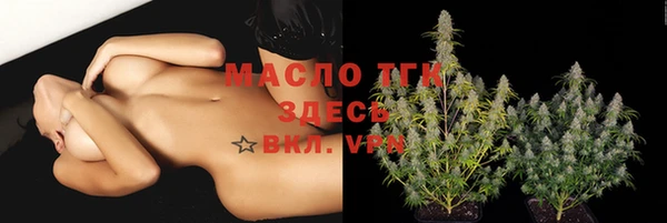 стаф Заводоуковск