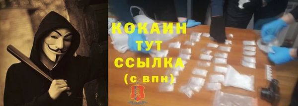 стаф Заводоуковск
