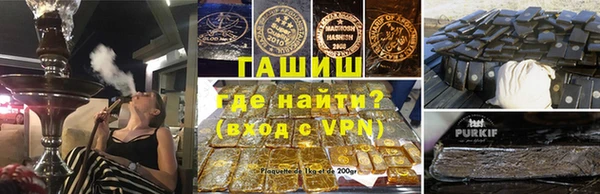 стаф Заводоуковск