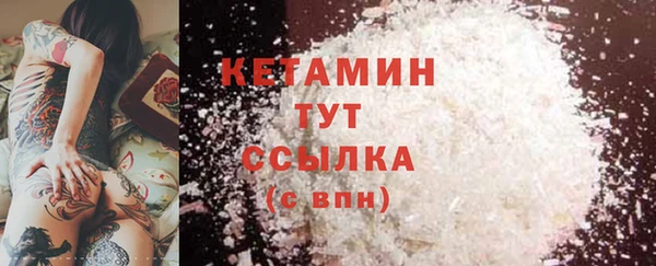 стаф Заводоуковск