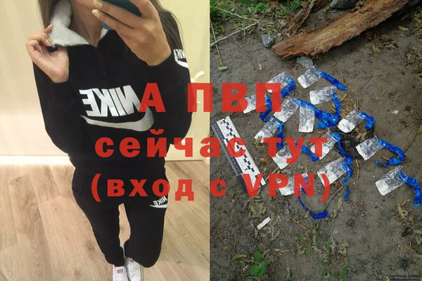 стаф Заводоуковск