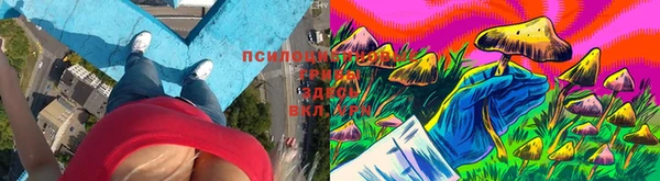 гидра Заволжск