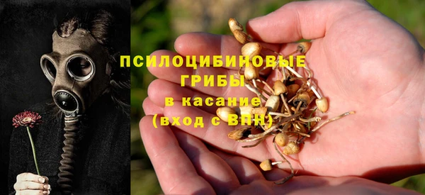 стаф Заводоуковск