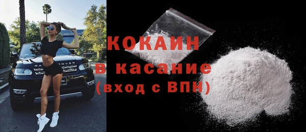стаф Заводоуковск