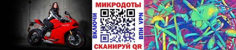 Псилоцибиновые грибы мицелий  Купить  Данков 